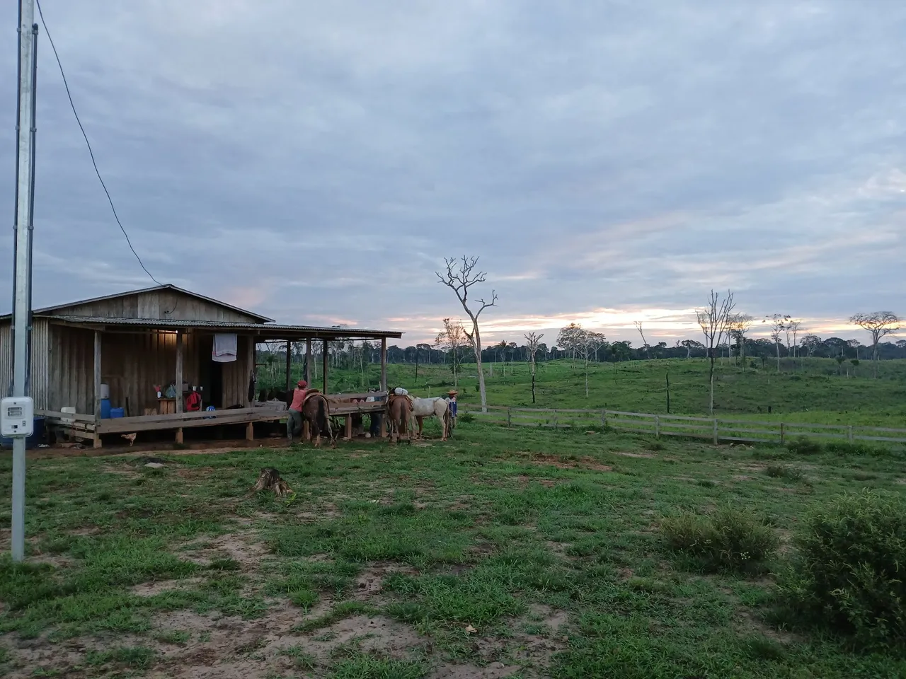 Colônia 100 hectare