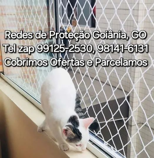 Rede de Proteção - Foto 4