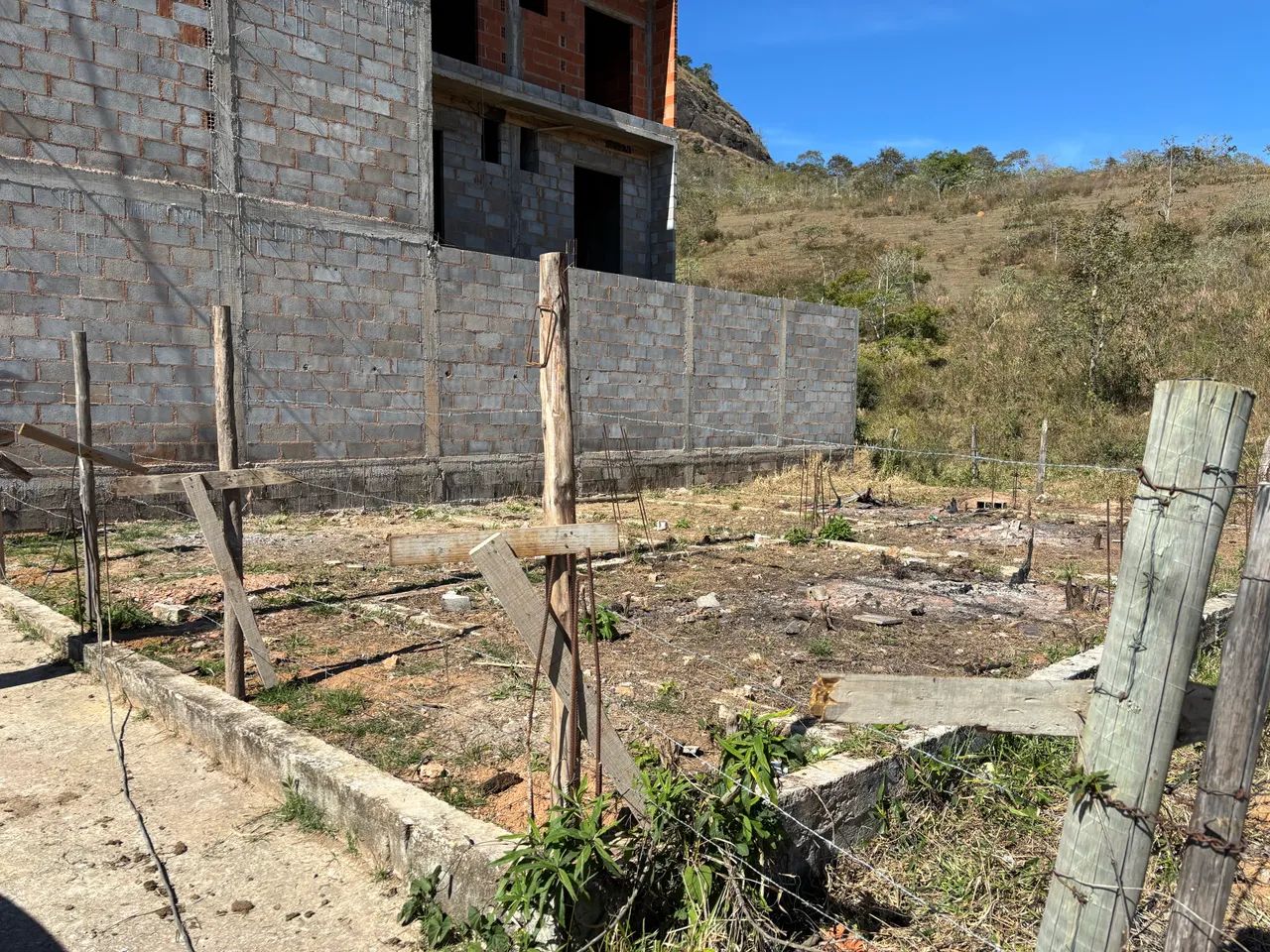 Foto - Juiz de Fora - Borboleta