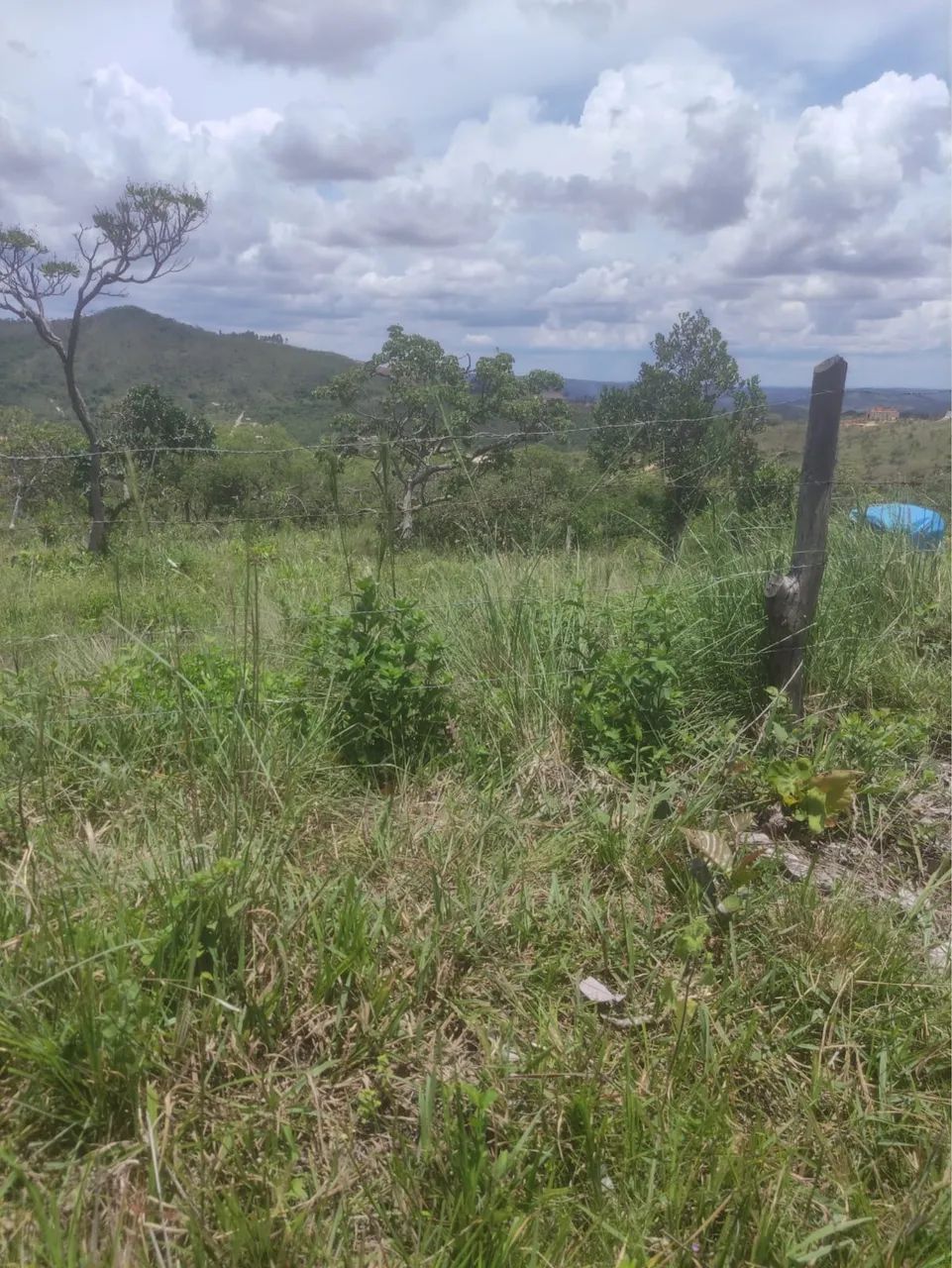 Foto - Santa Luzia - Bonanza