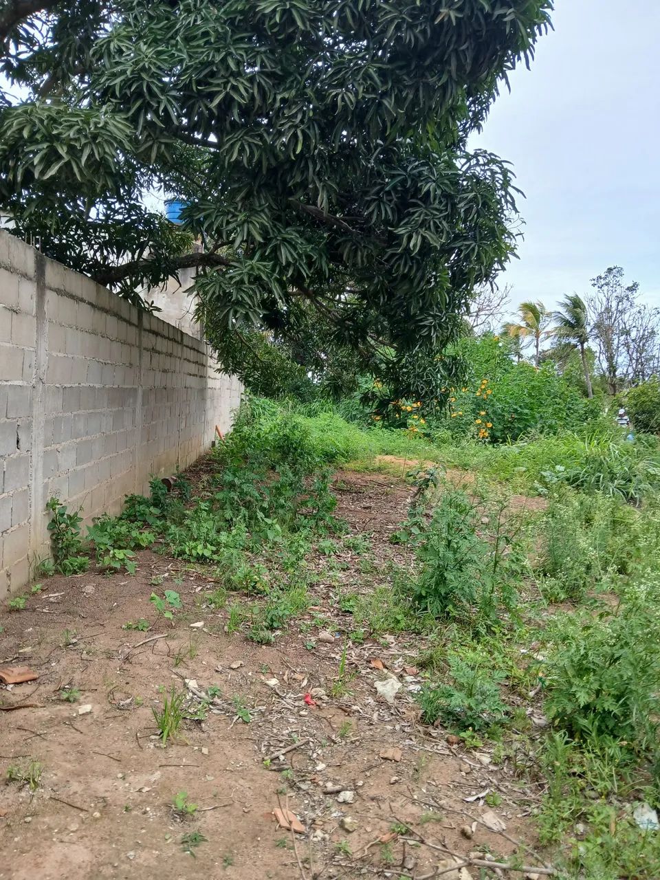 Area para construção de casas ou galpão  - Foto 2