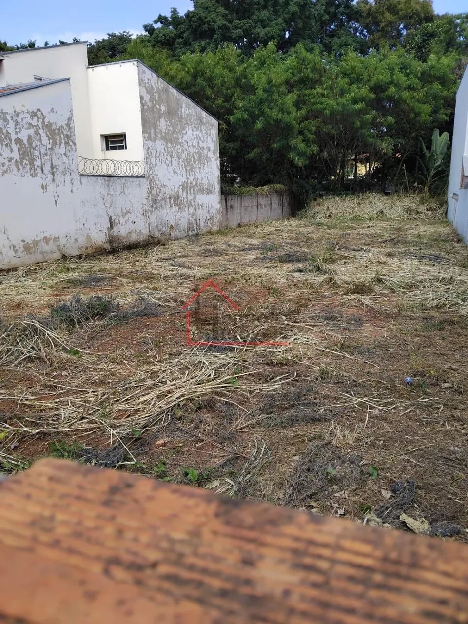 terreno - Cidade Universitária - Campinas - Foto 3