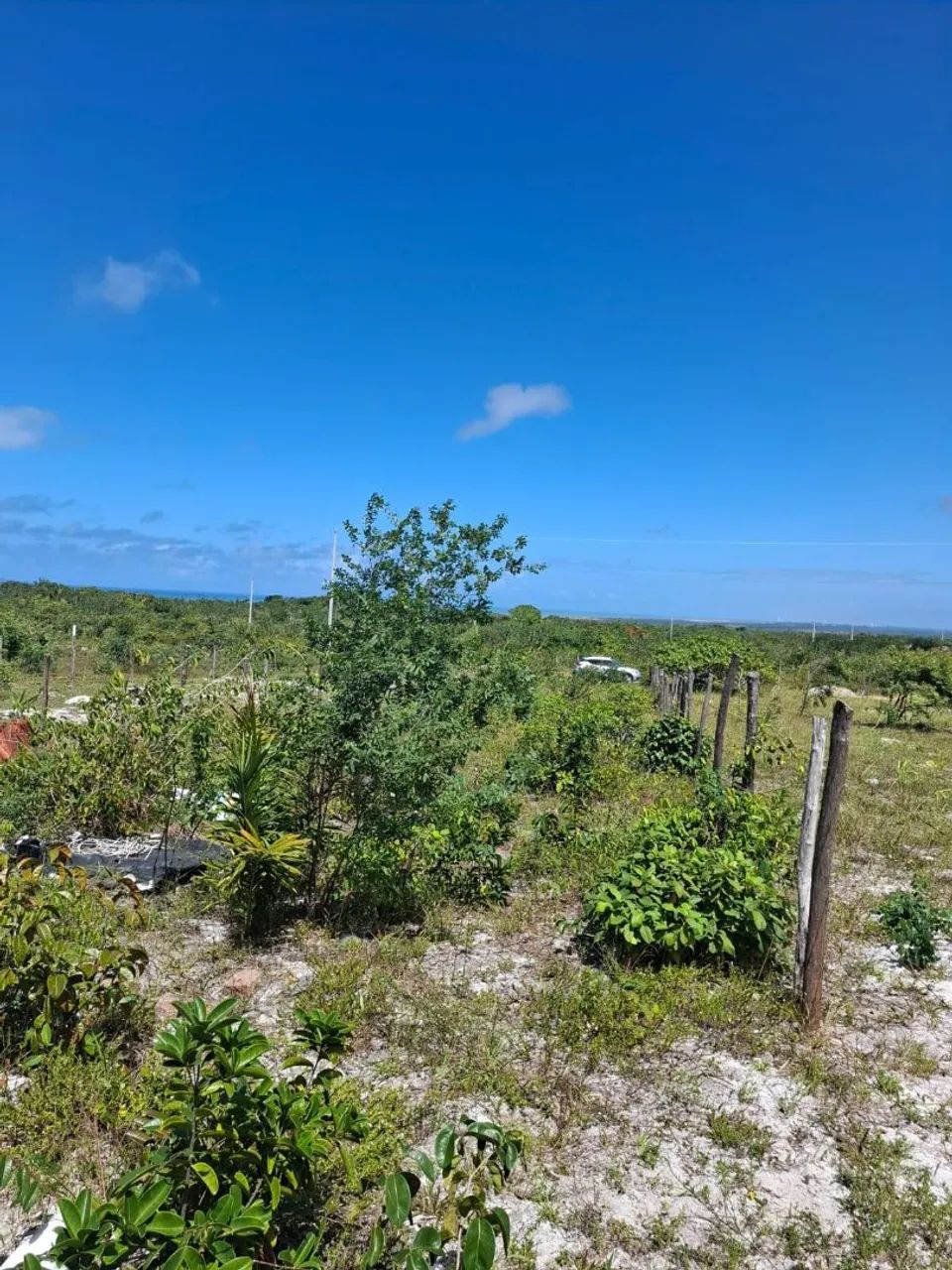 Vendo terreno em AGUILHADAS - Pirambu 