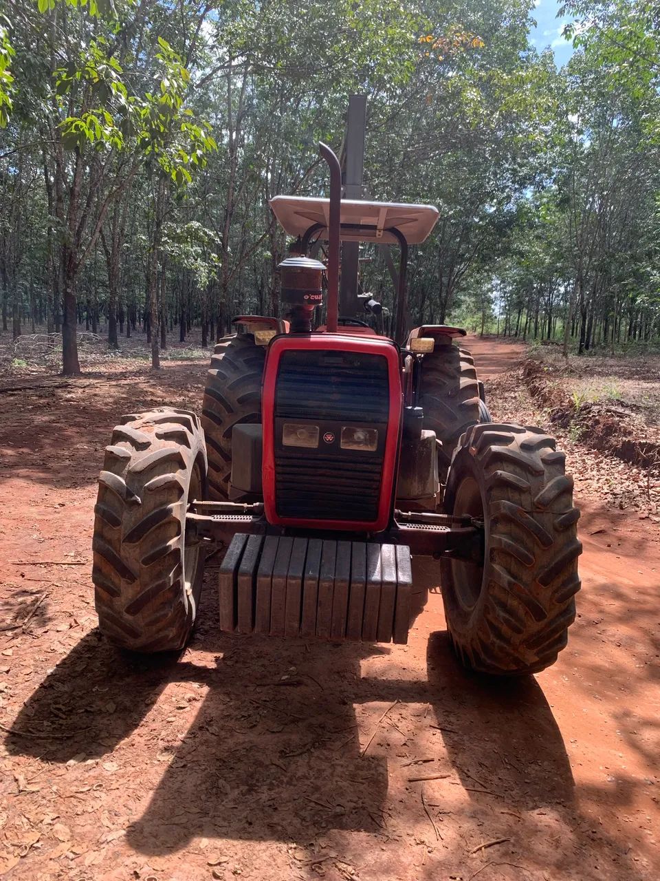  Trator MF 292 2004 - Foto 4