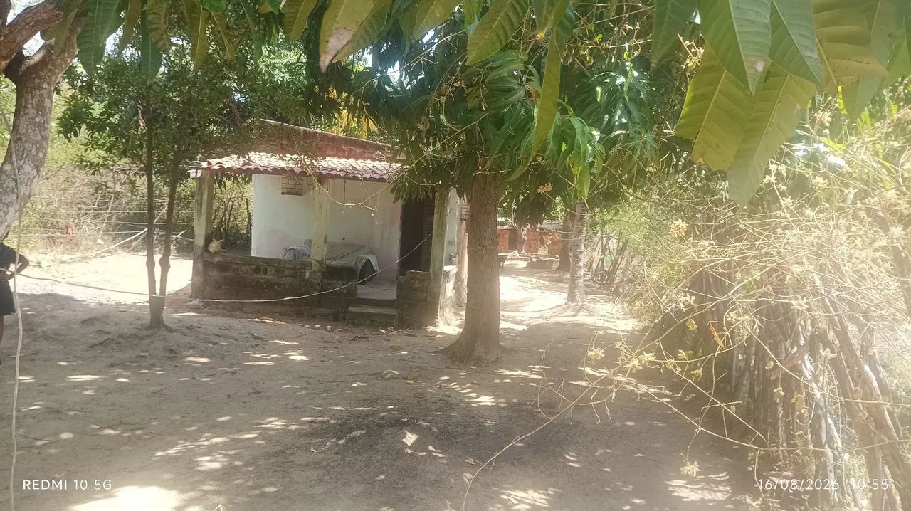 Venda - Foto 3