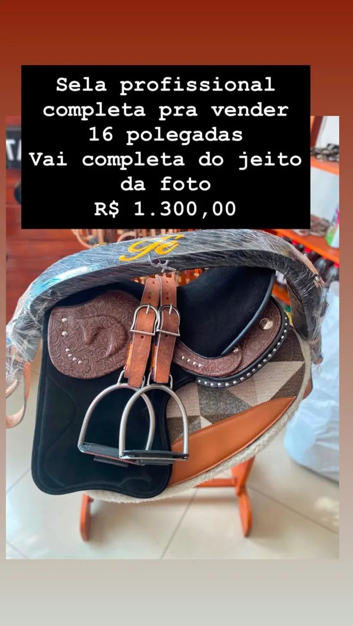 Sela profissional de vaquejada 