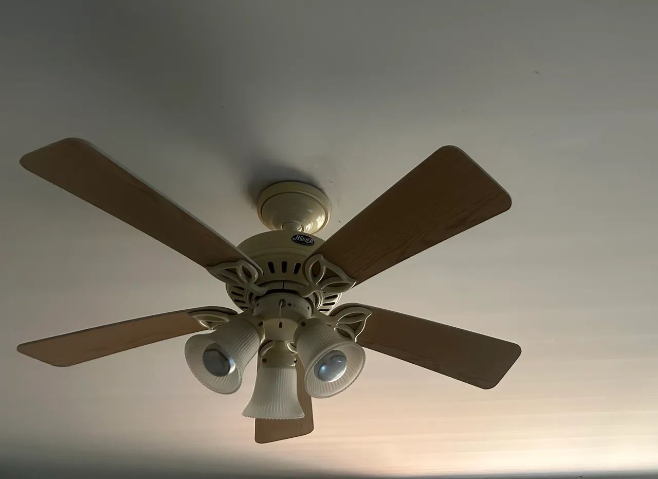 Ventilador de teto Hunter. Cinco pás  - Foto 2