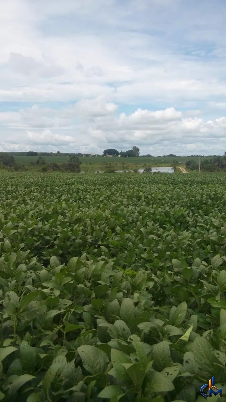 Fazenda em Querencia - Foto 5
