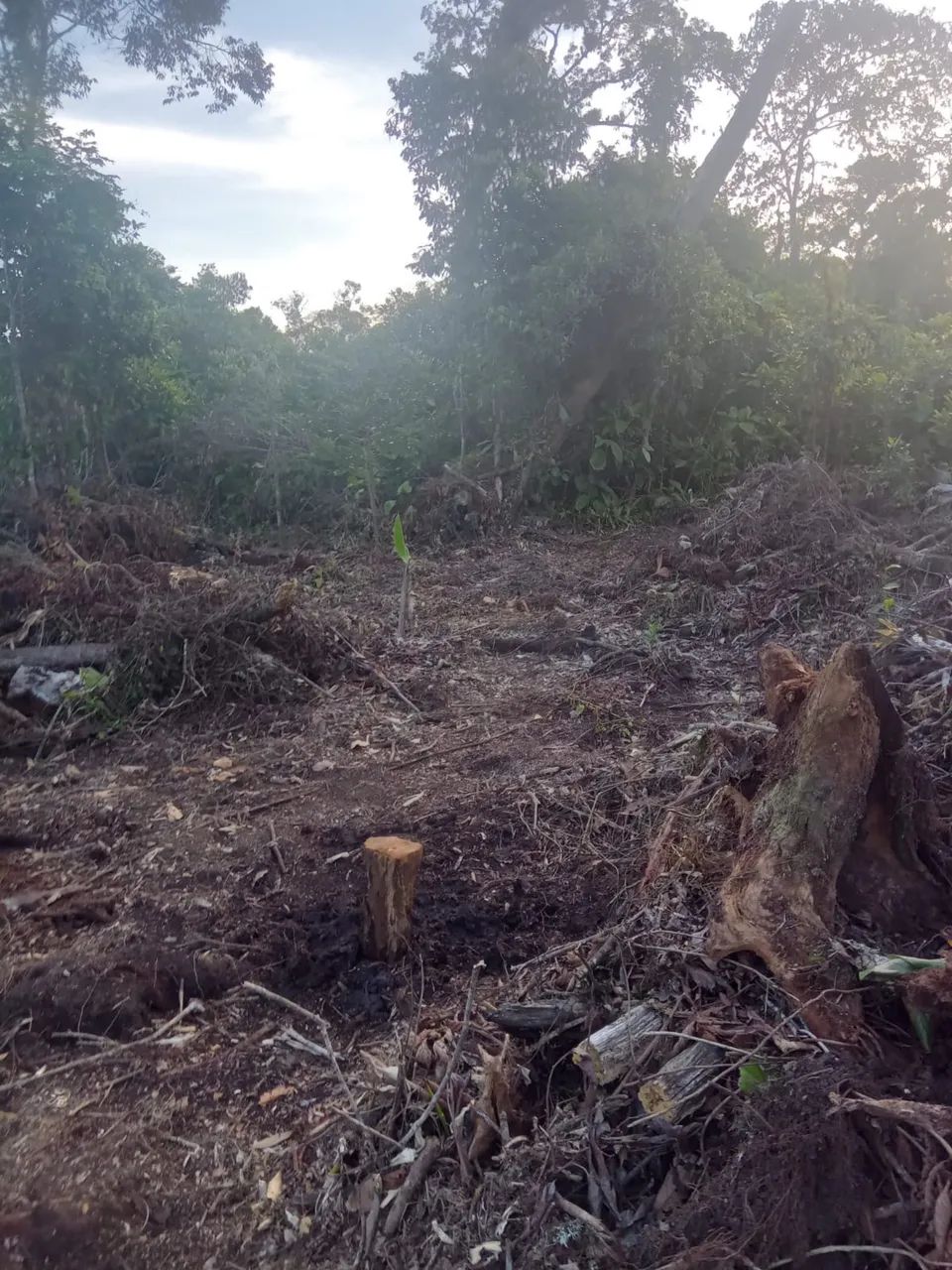 Terreno em Guaratuba 