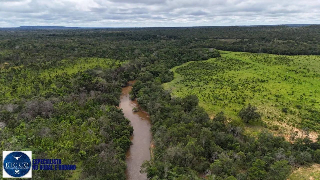 Fazenda à Venda em Colinas  TO | 1.598 Hectares