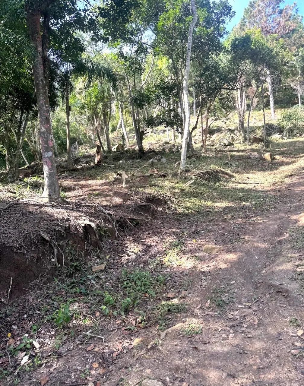 TERRENO NA VARGEM GRANDE - | FLORIPA - Foto 3
