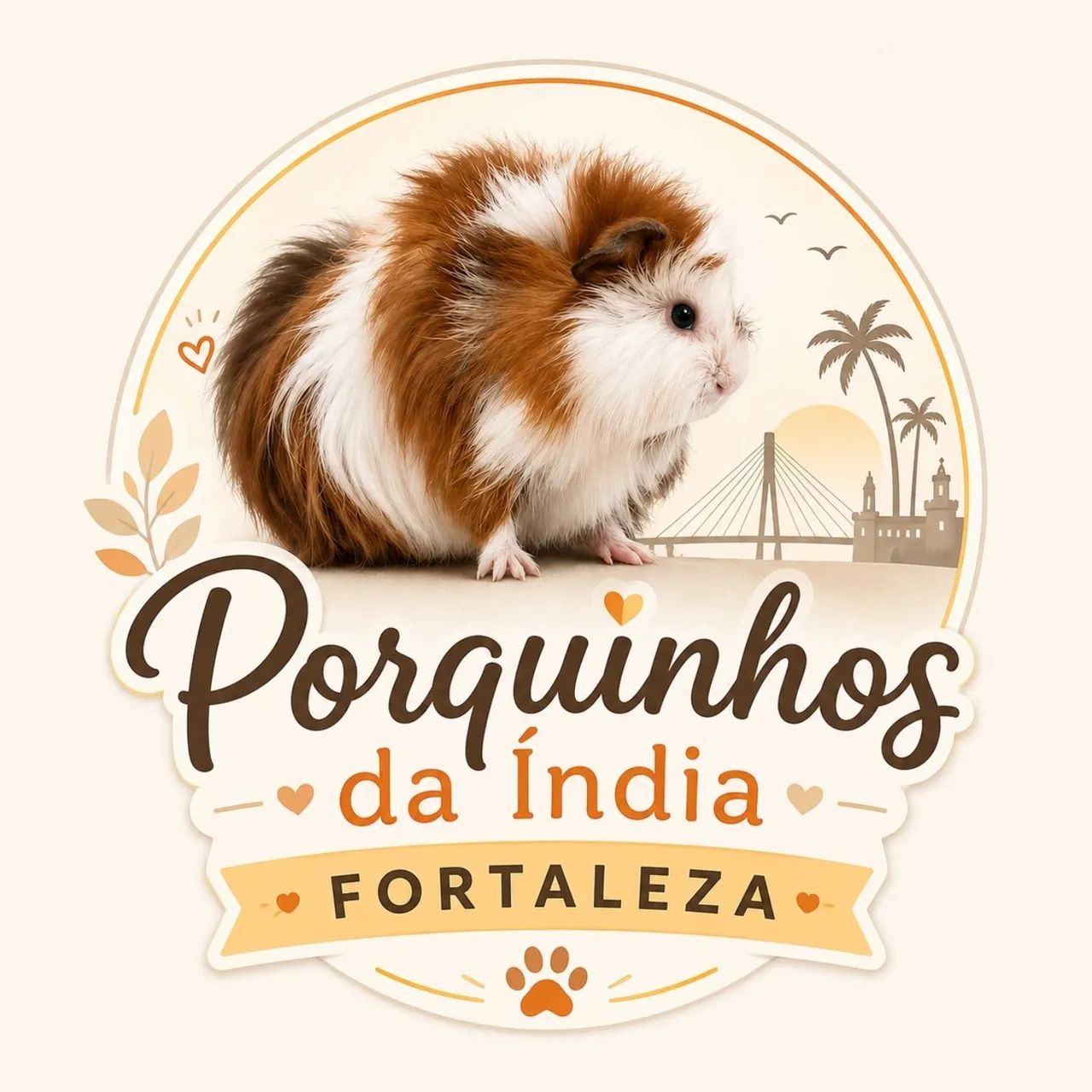 Porquinho da índia  - Foto 4