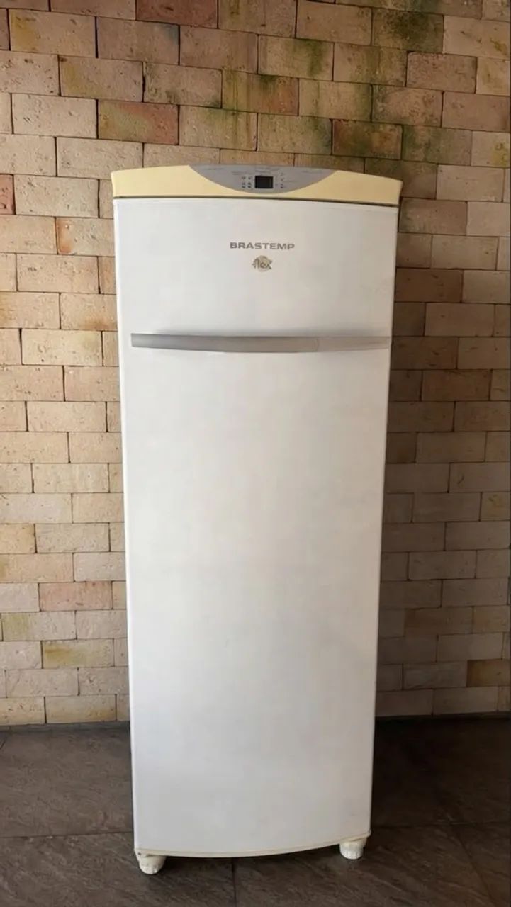 Freezer vertical
