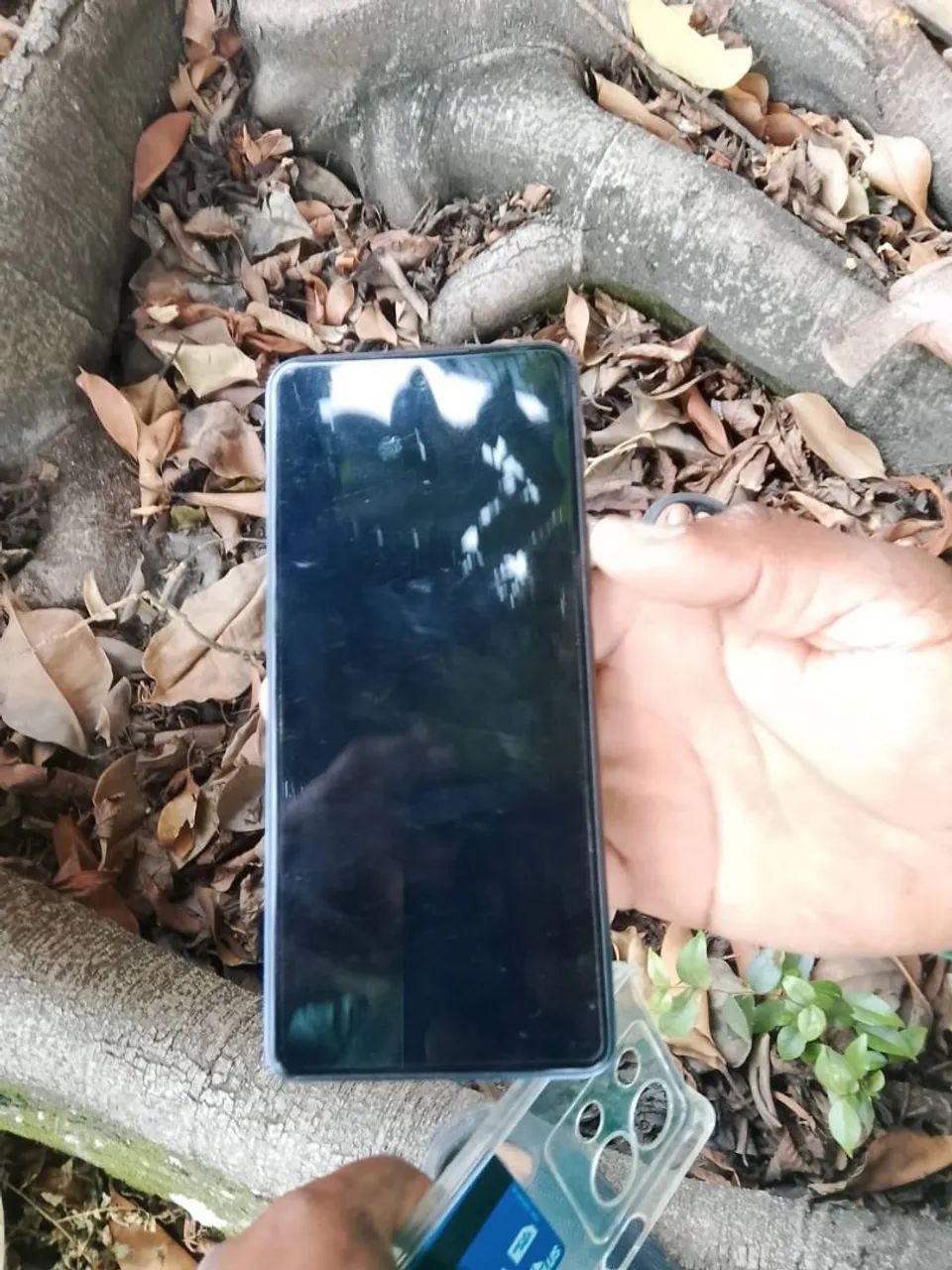 Celular 