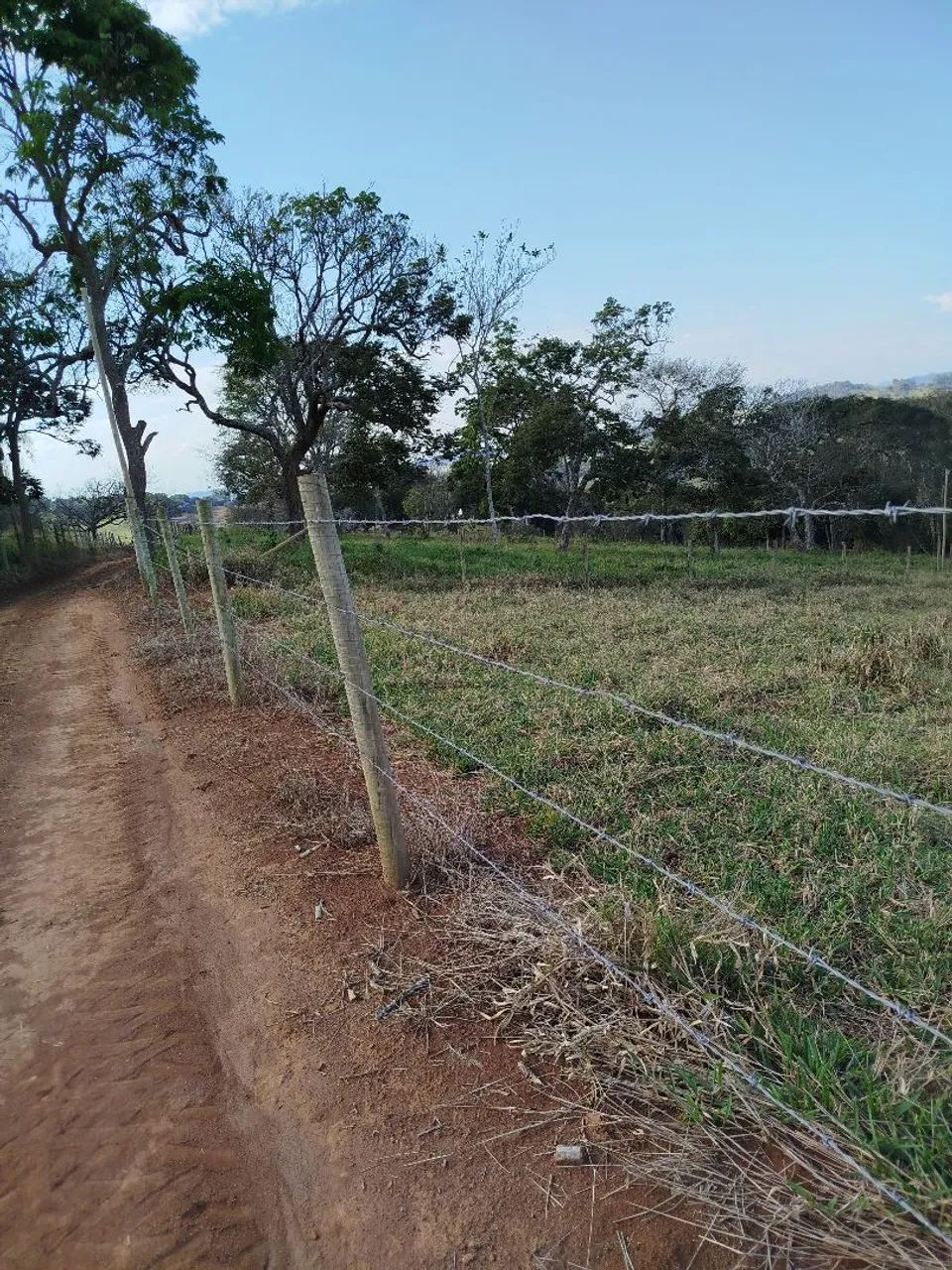 Vendo excelente Sítio no Sul de Mg. - Foto 5