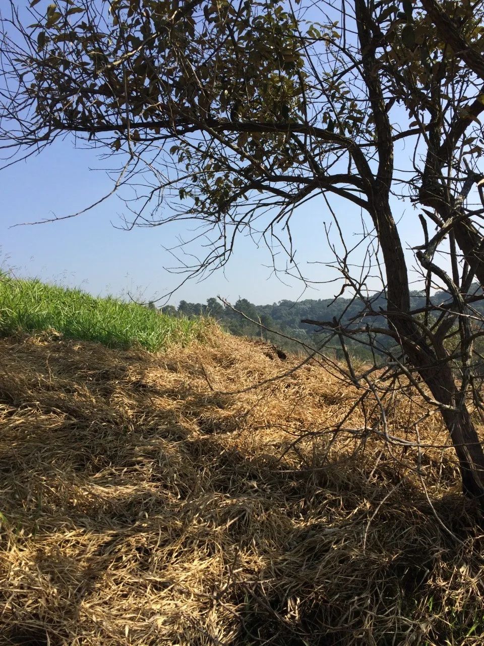 TERRENO COMERCIAL em ITAPECERICA DA SERRA - SP, DA LAGOA - Foto 2