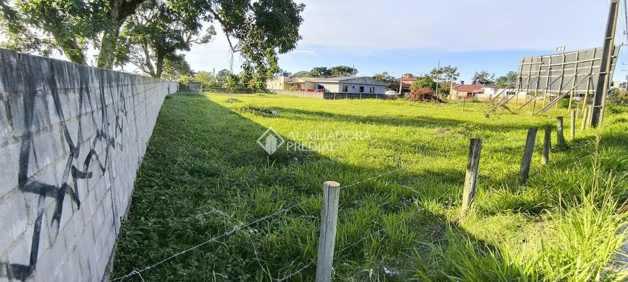 Oportunidade de Terreno para Investimento - Foto 3