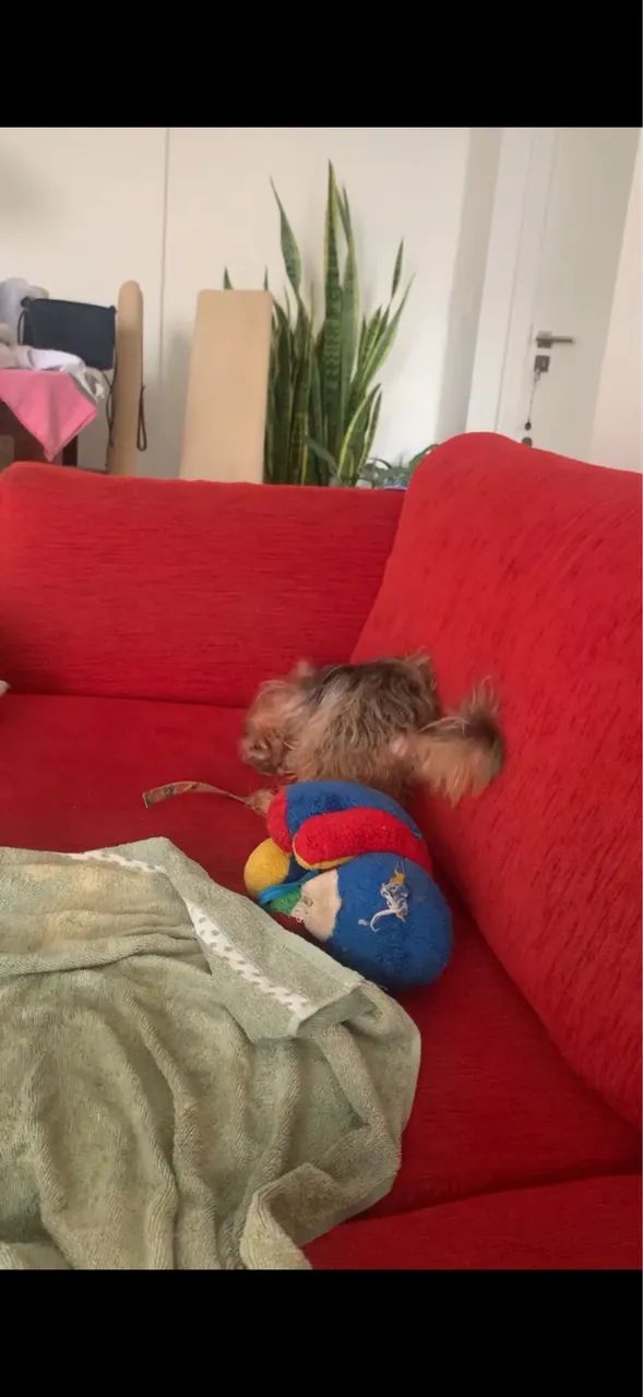 Sofá Grande  - Foto 2