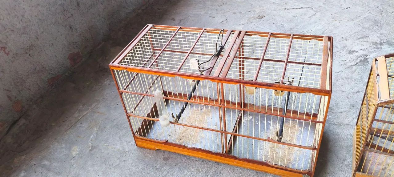 Vende-se voador e gaiola voador medindo 23/55 e a gaiola 18/33