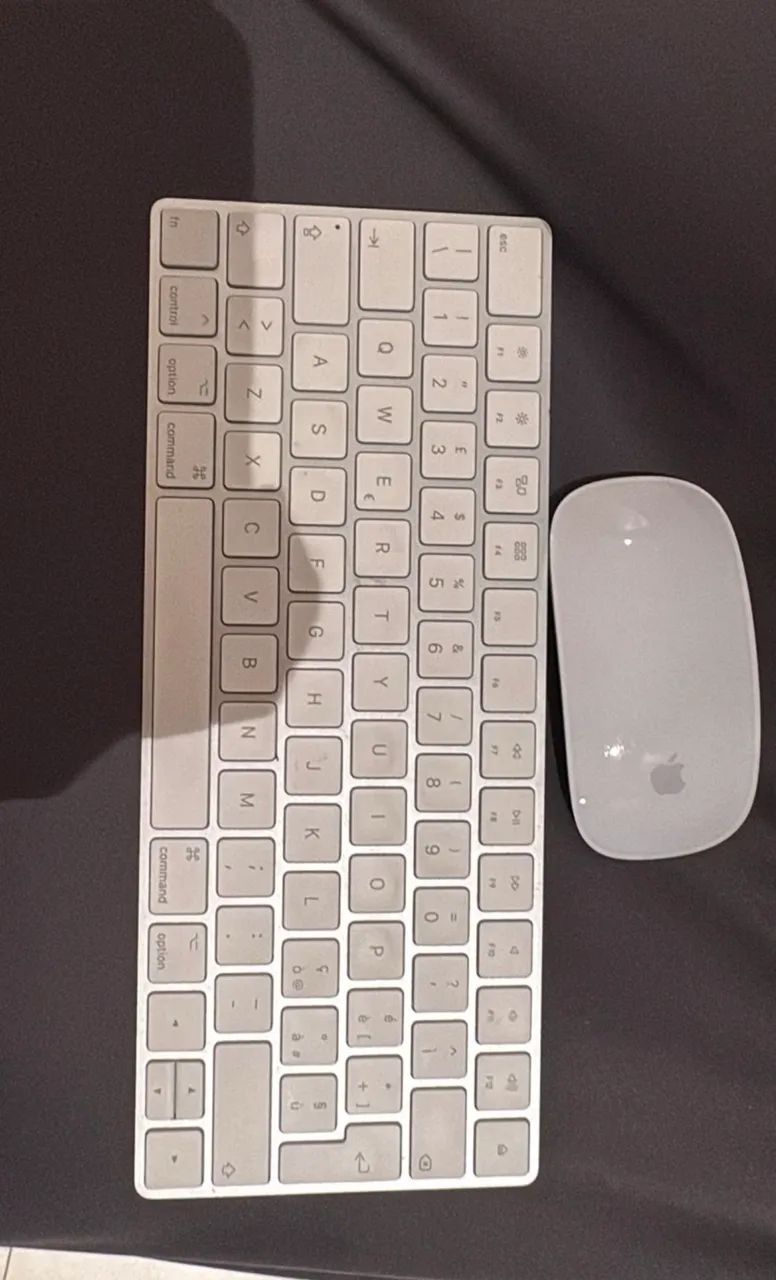Teclado e mouse Apple 