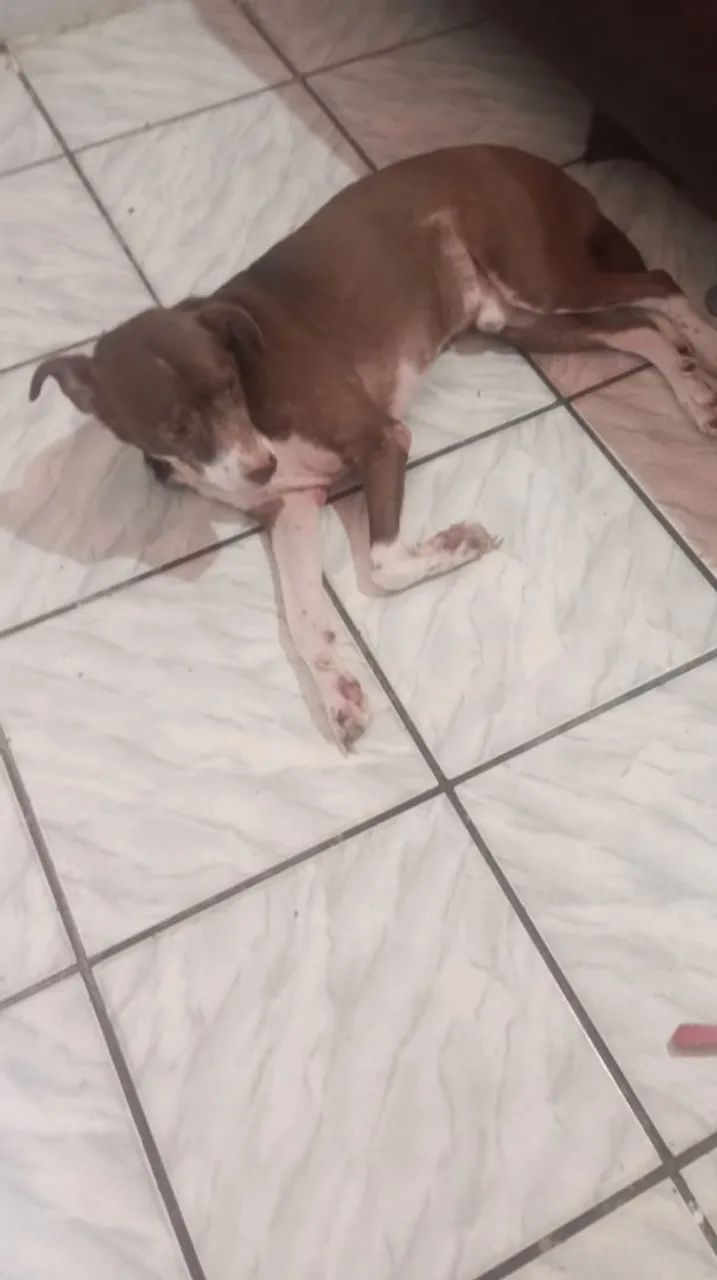 Doação  - Foto 2