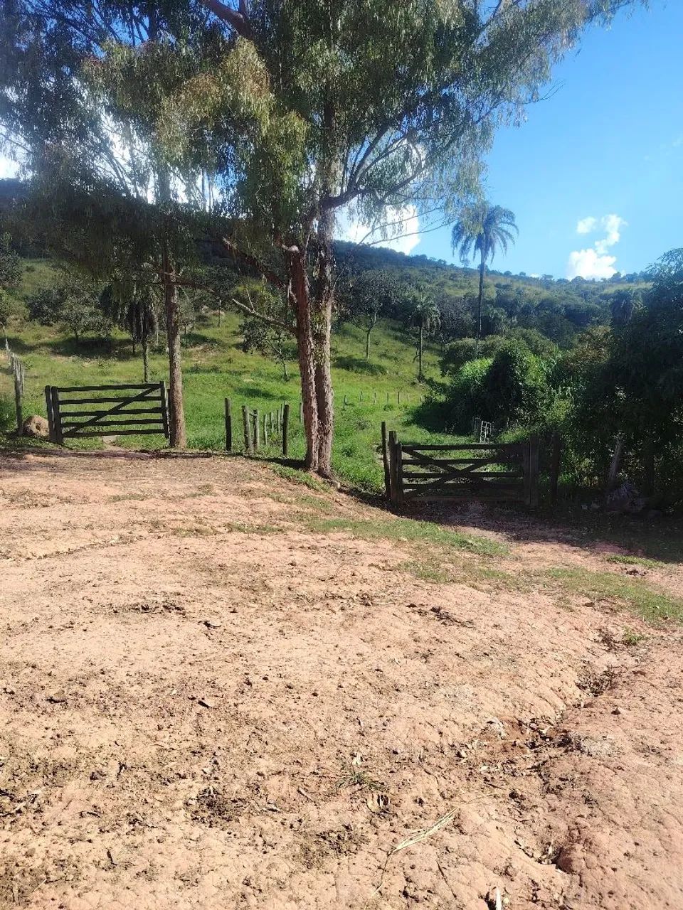 ?Fazenda de 78 Hectares em Itaúna  - Foto 5