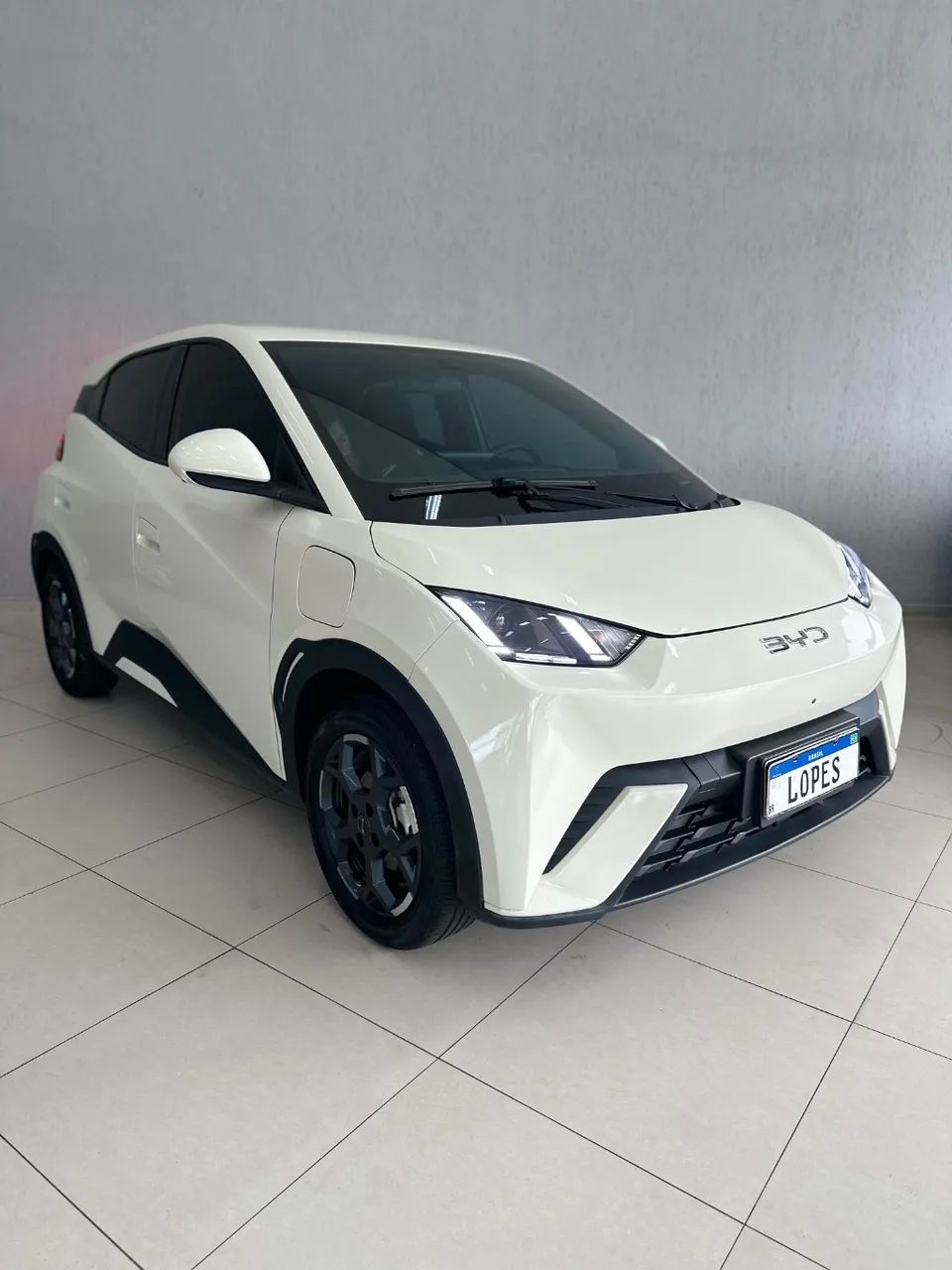BYD Dolphin Plus (Elétrico) 2026 - Foto 2