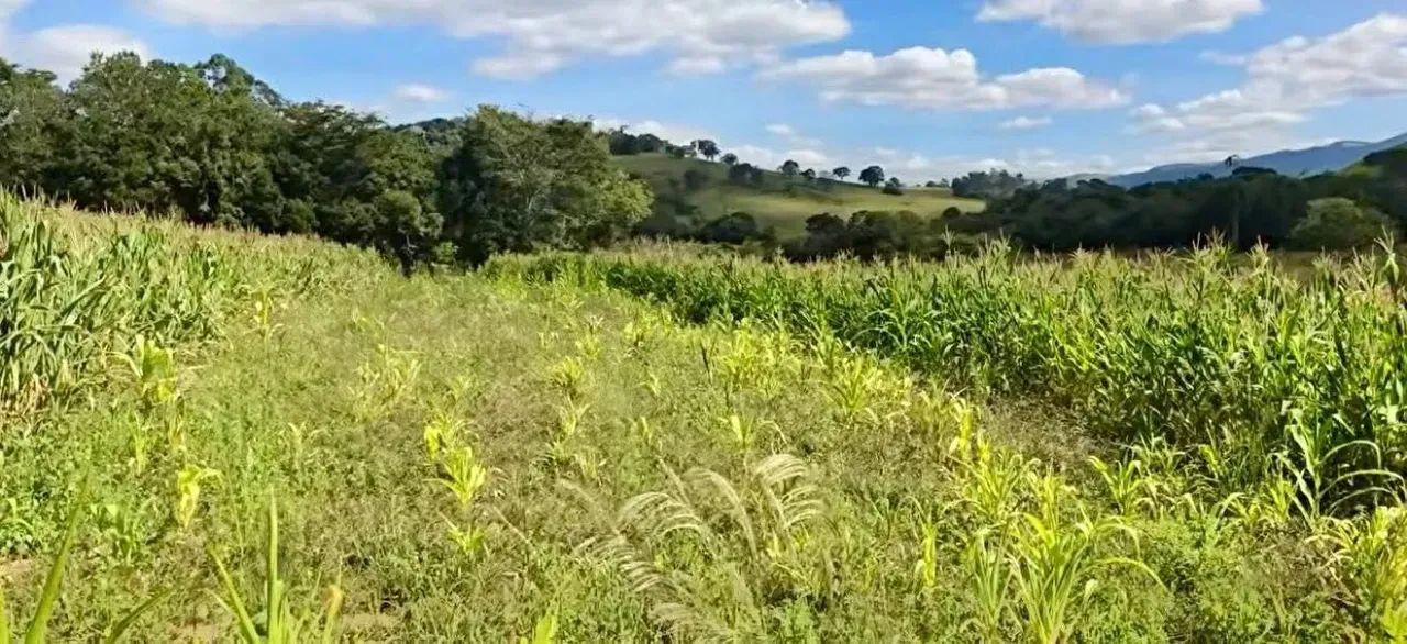 chácara beira rio dourado - Foto 4