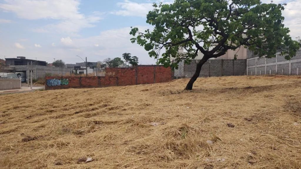 Lote 360 m² Setor Três Marias Goiania - Foto 6
