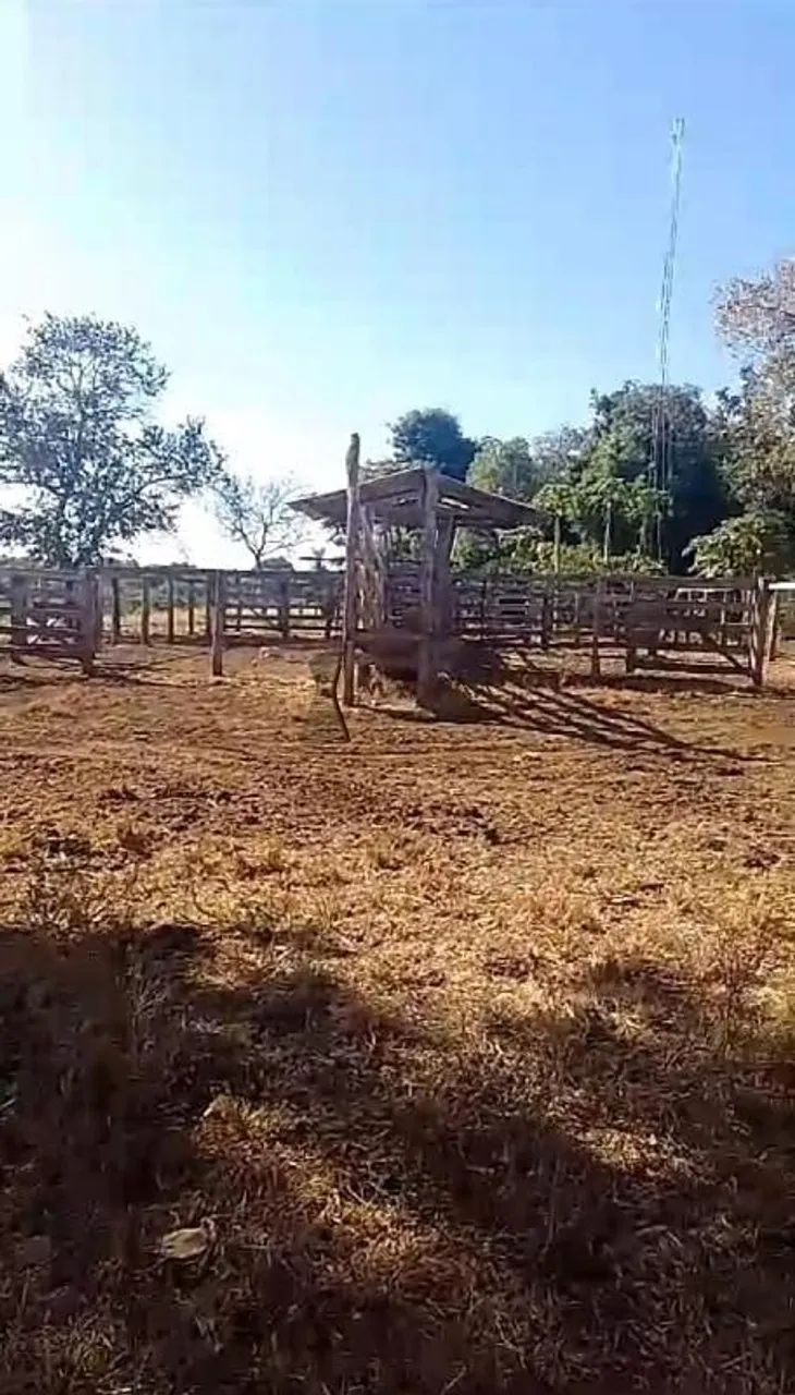 SÍTIO EM RIBEIRÃO CASCALHEIRA - Foto 4