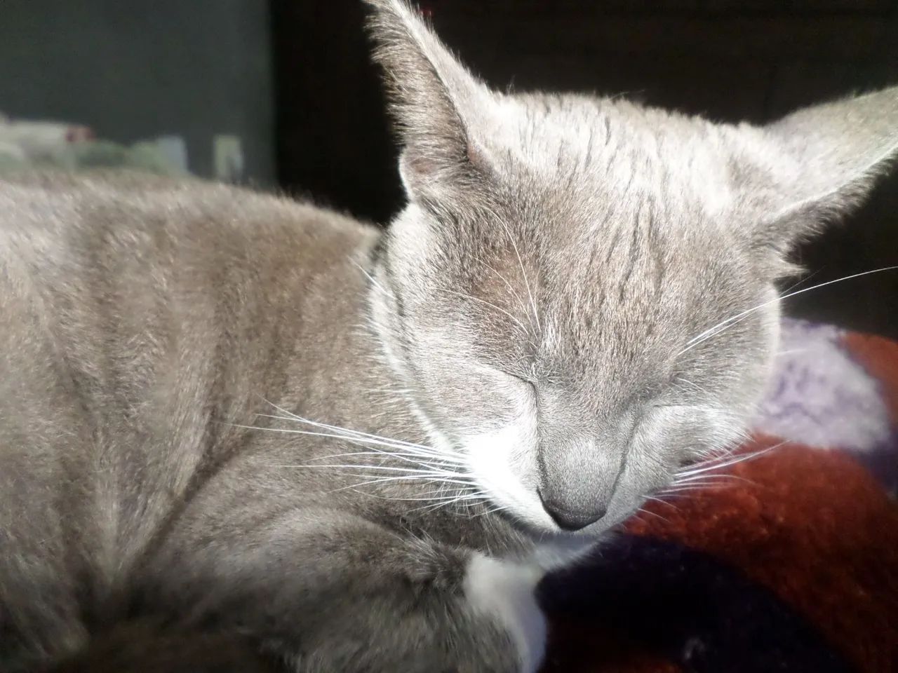 Cybershot Samsung ST105F - Foto 5