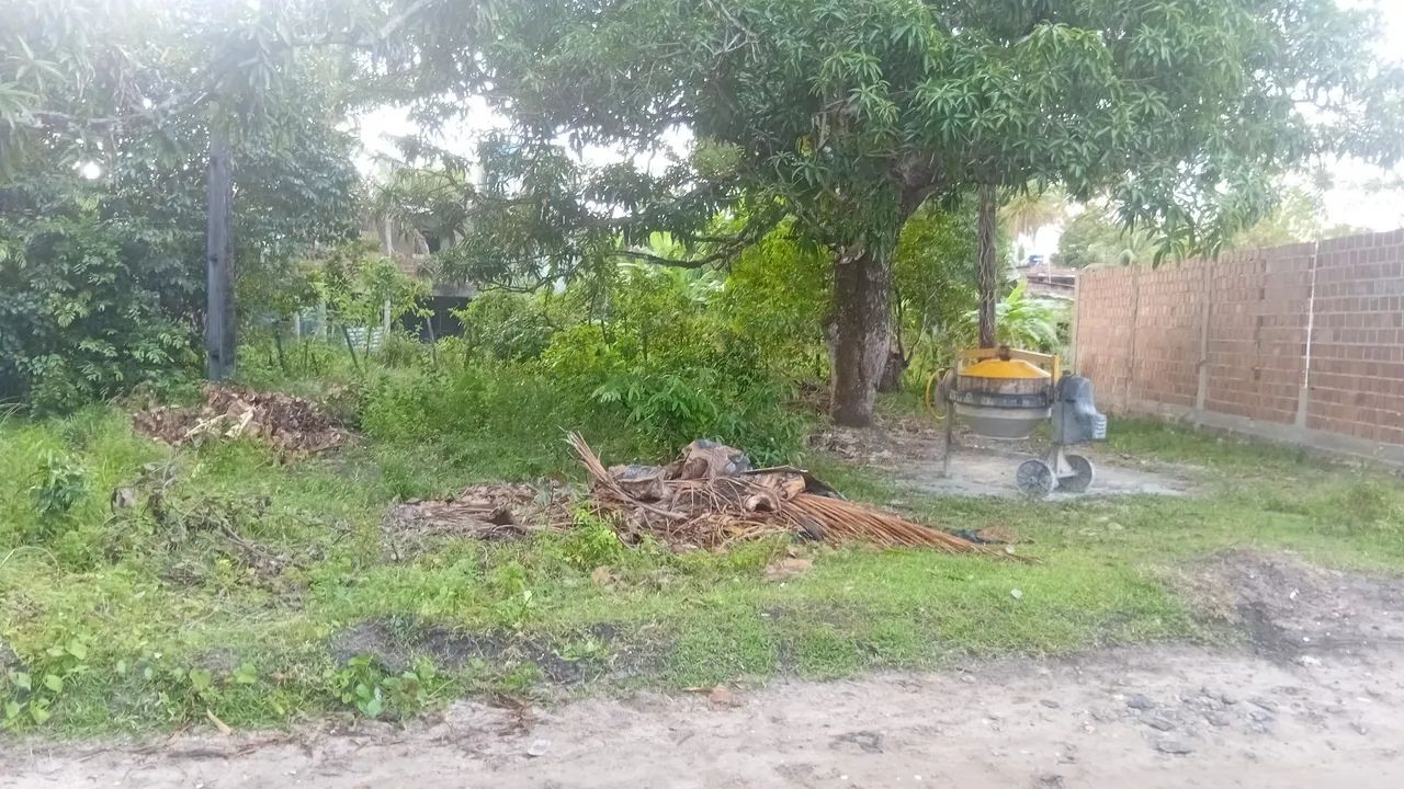 TERRENO - Foto 2