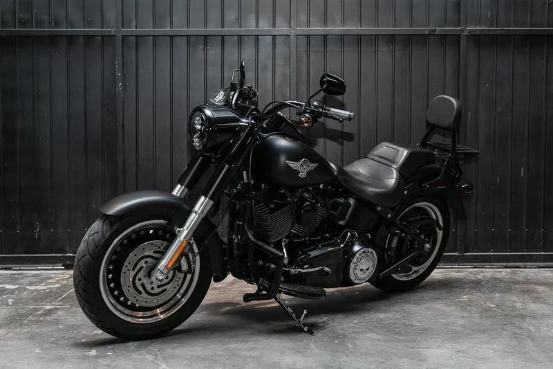HARLEY-DAVIDSON FLSTFB 2014 - Foto 5