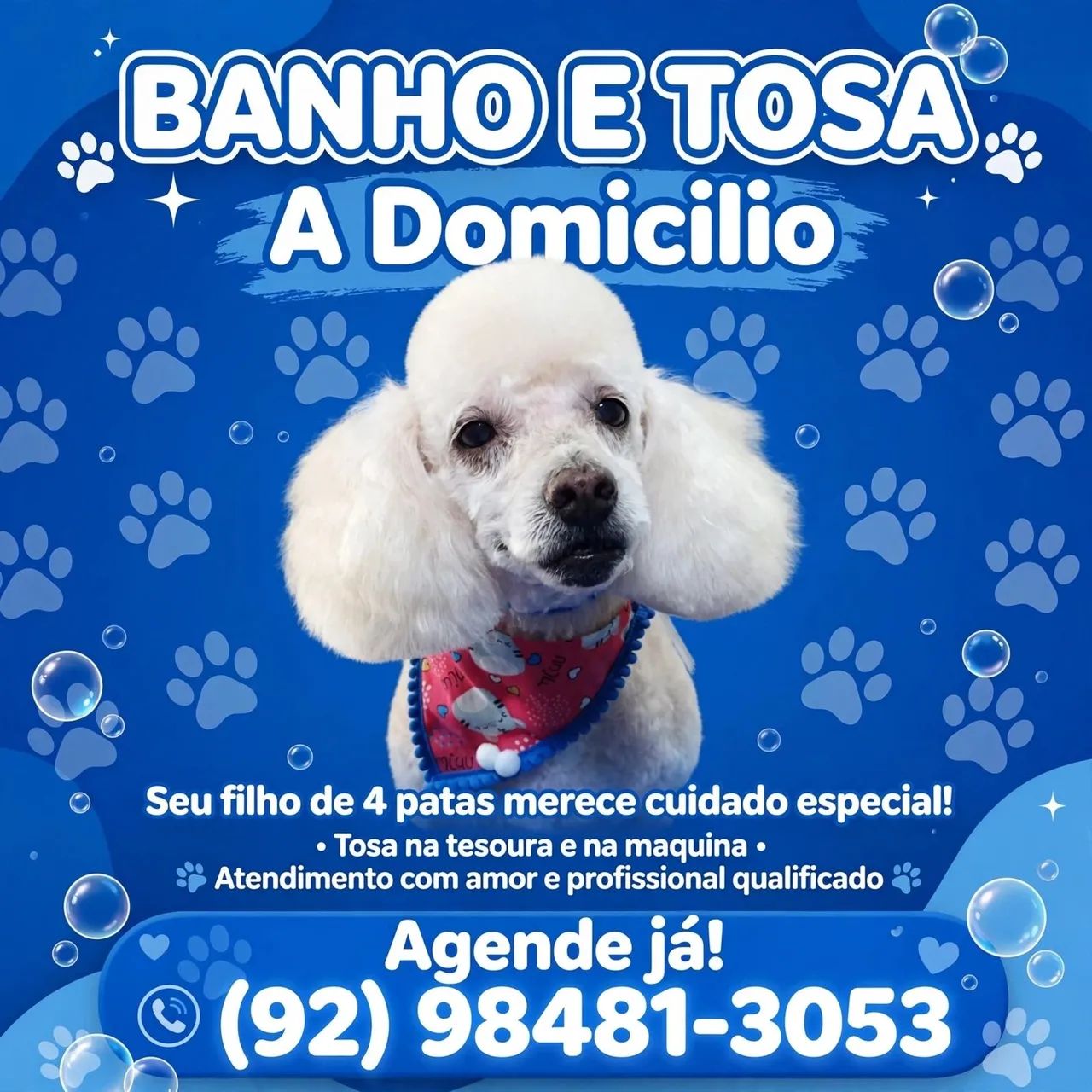 Banho e tosa  - Foto 2