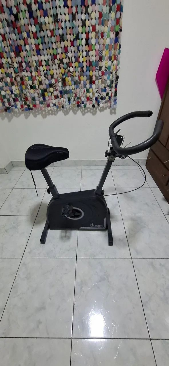 Bicicleta Ergonomia Dreams