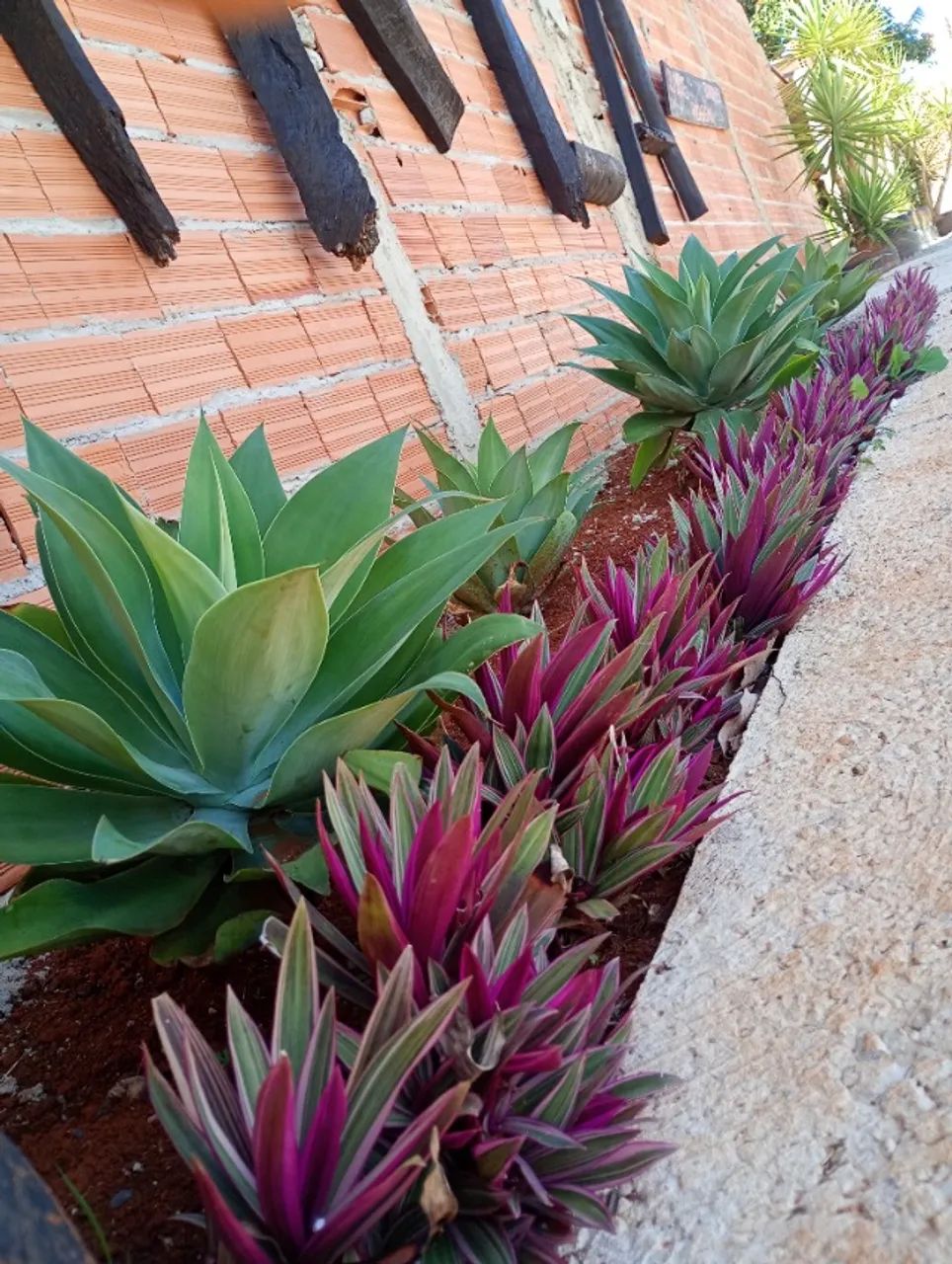 Paisagismo e criação de jardins - Foto 5