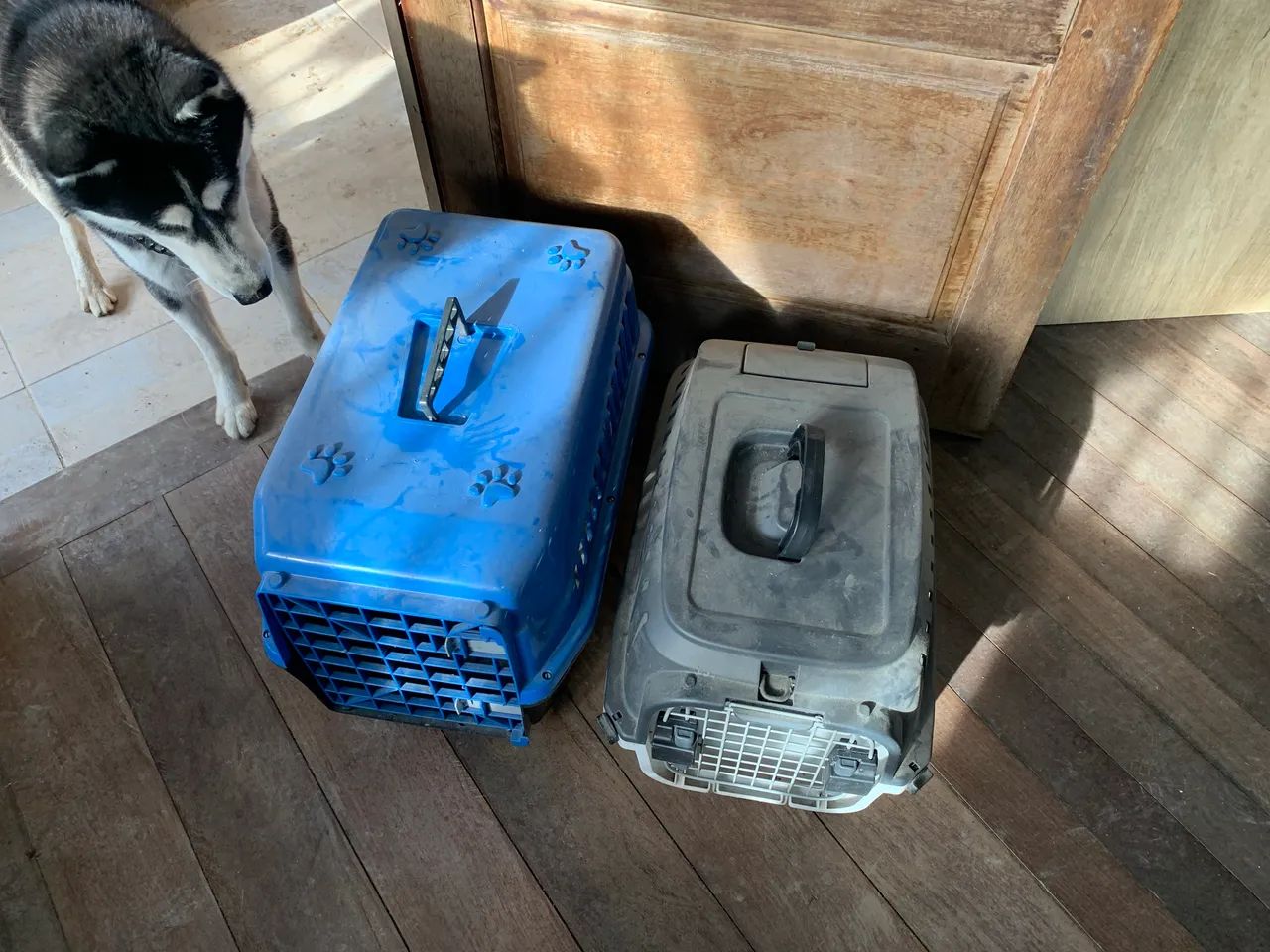 Caixa de transporte cachorro e gato  - Foto 2