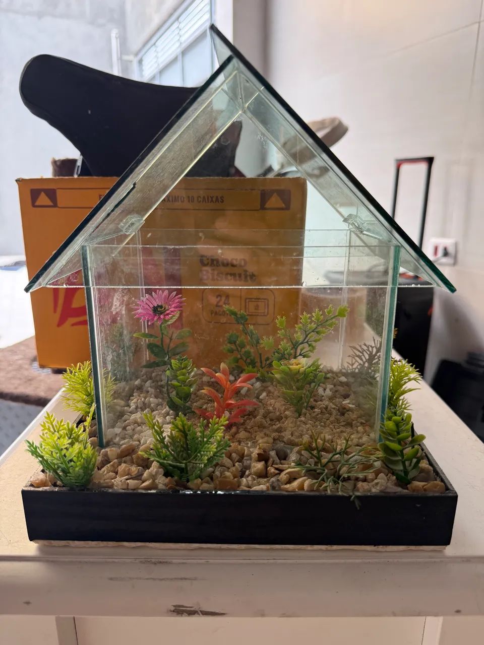 Aquário Betta Beteira completo - Foto 2