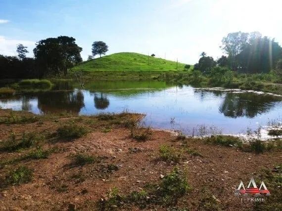 Fazenda a venda em Nova Brasilândia MT - Foto 2