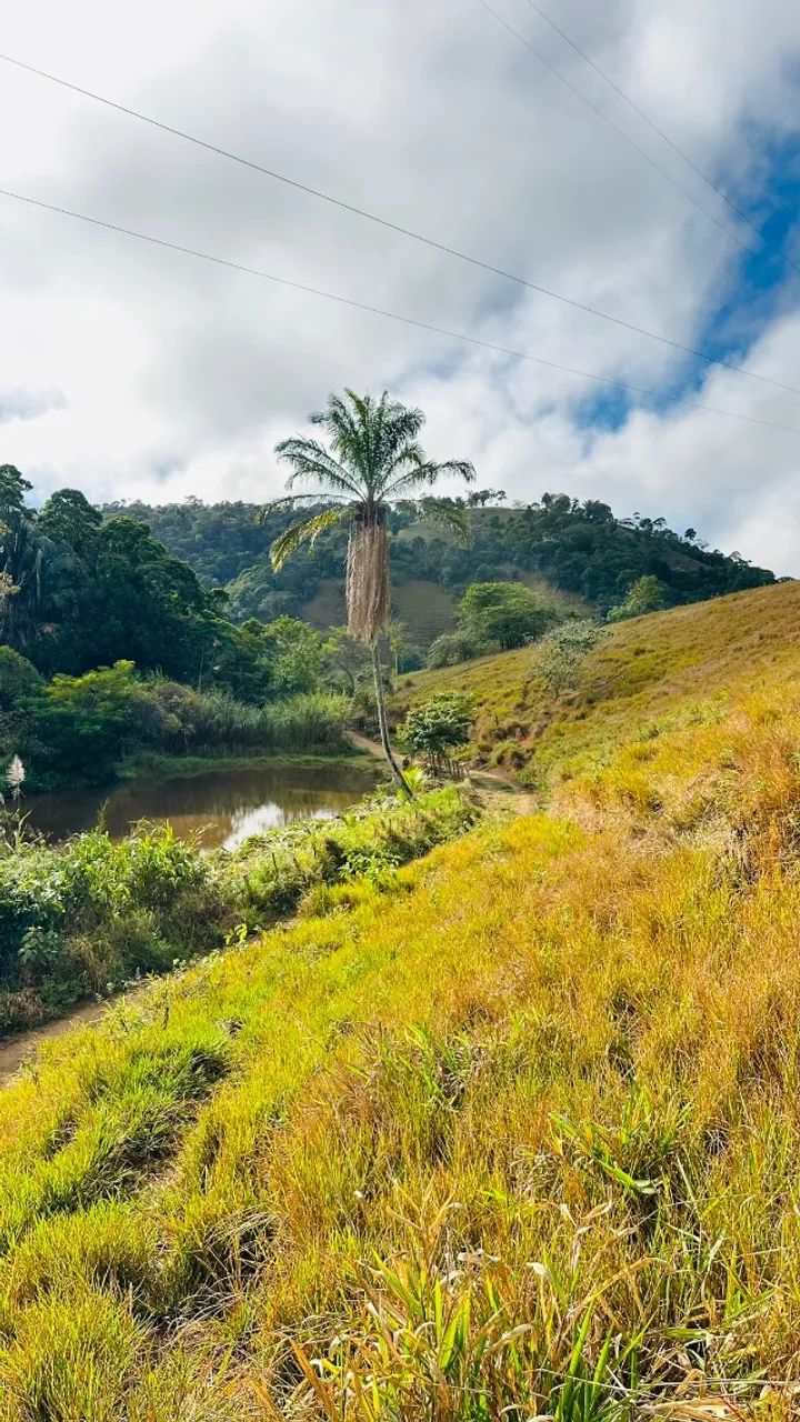 Terra Córrego Do Indaia - Foto 2