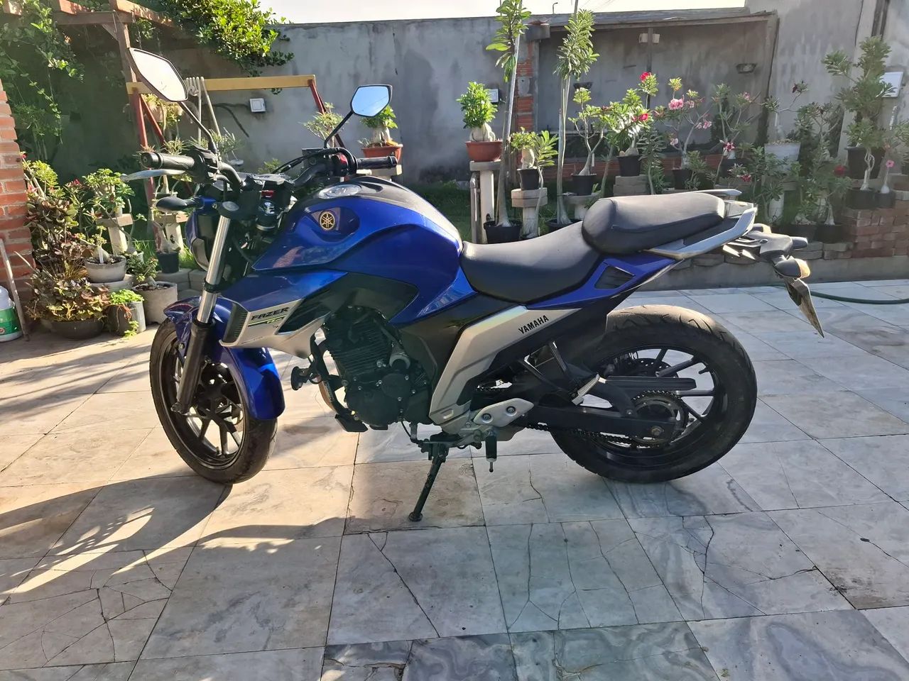 FZ250 TOP - Foto 2