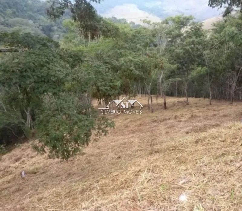 Terreno- Petrópolis, Pedro do Rio - Foto 5