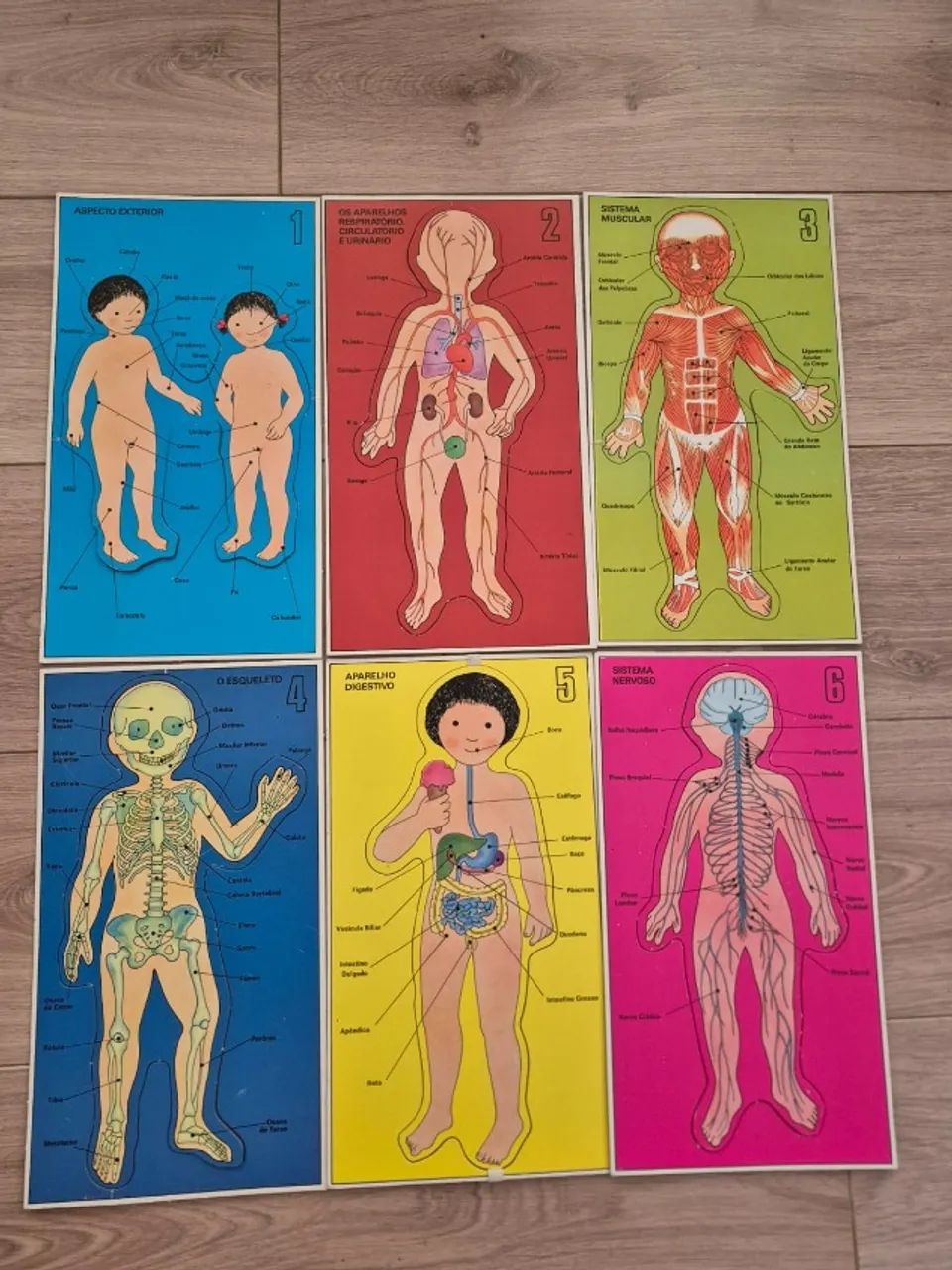 Jogo de Tabuleiro - Como É Meu Corpo - Grow - Completo - Foto 5