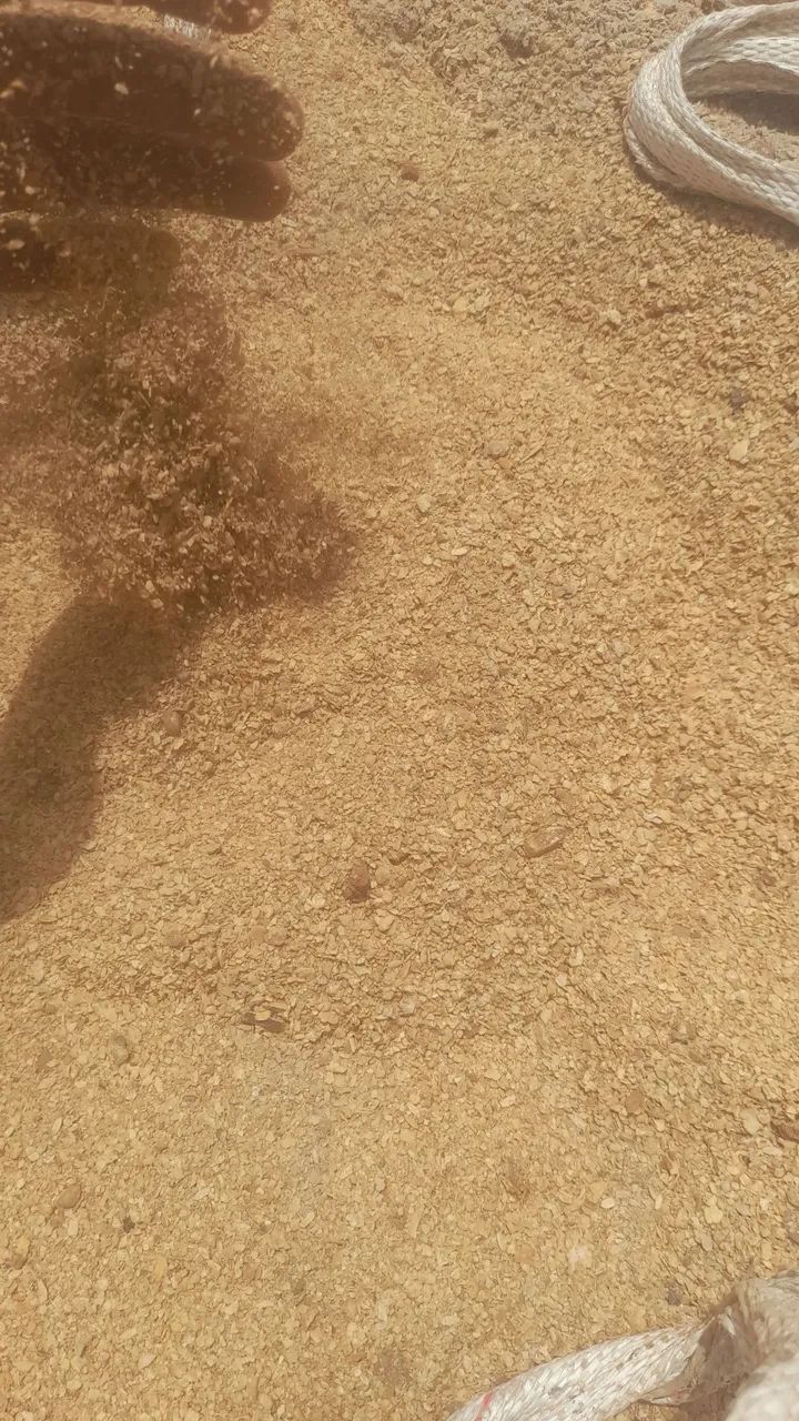 Farelo de Soja saca com 50 kilos