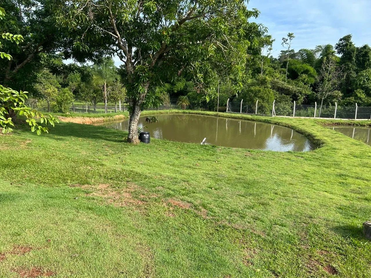 Vende chácara perto Guapó  - Foto 3