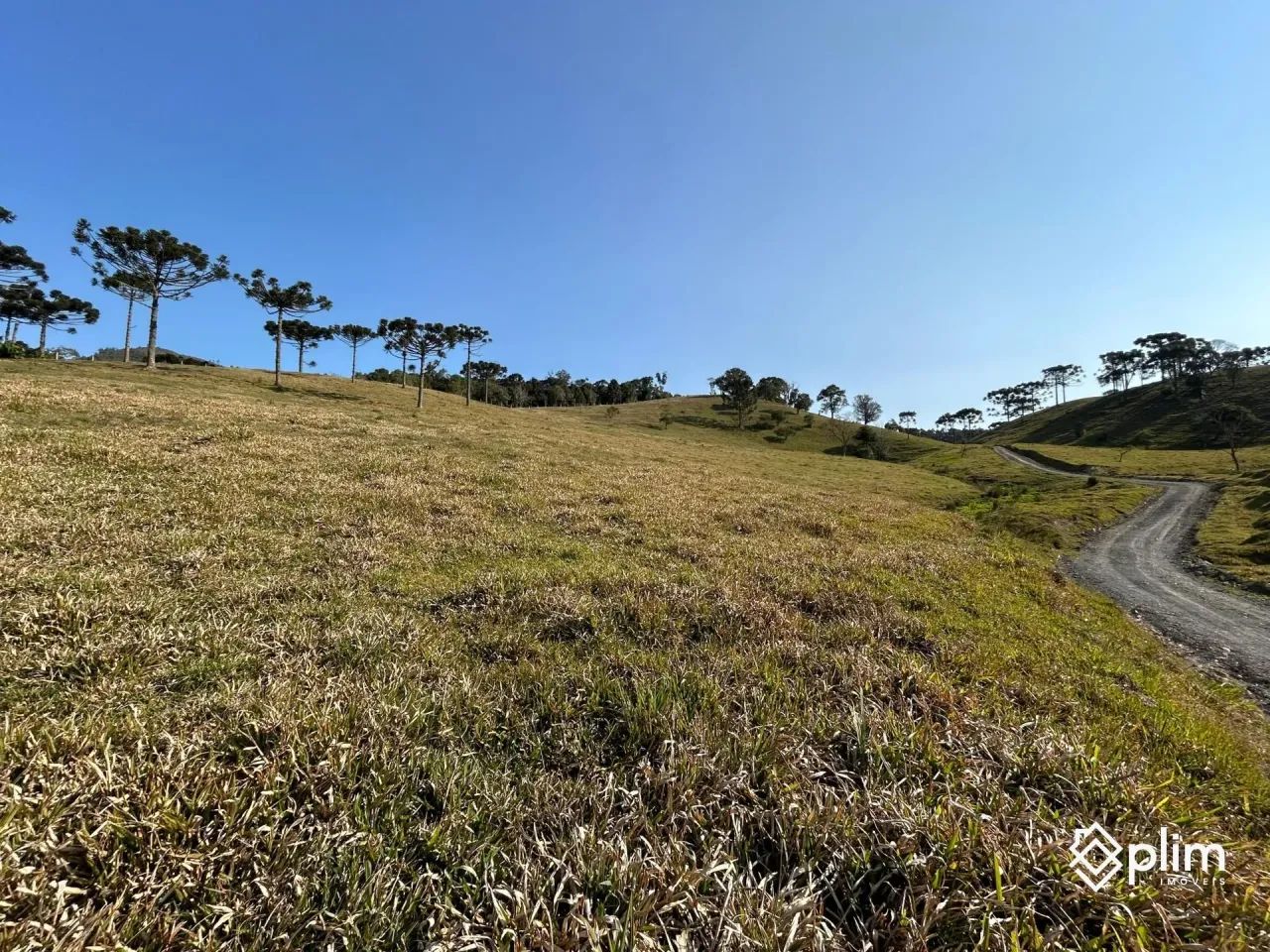 Propriedade Rural em Bom Retiro SC com 86 hectares - Foto 3
