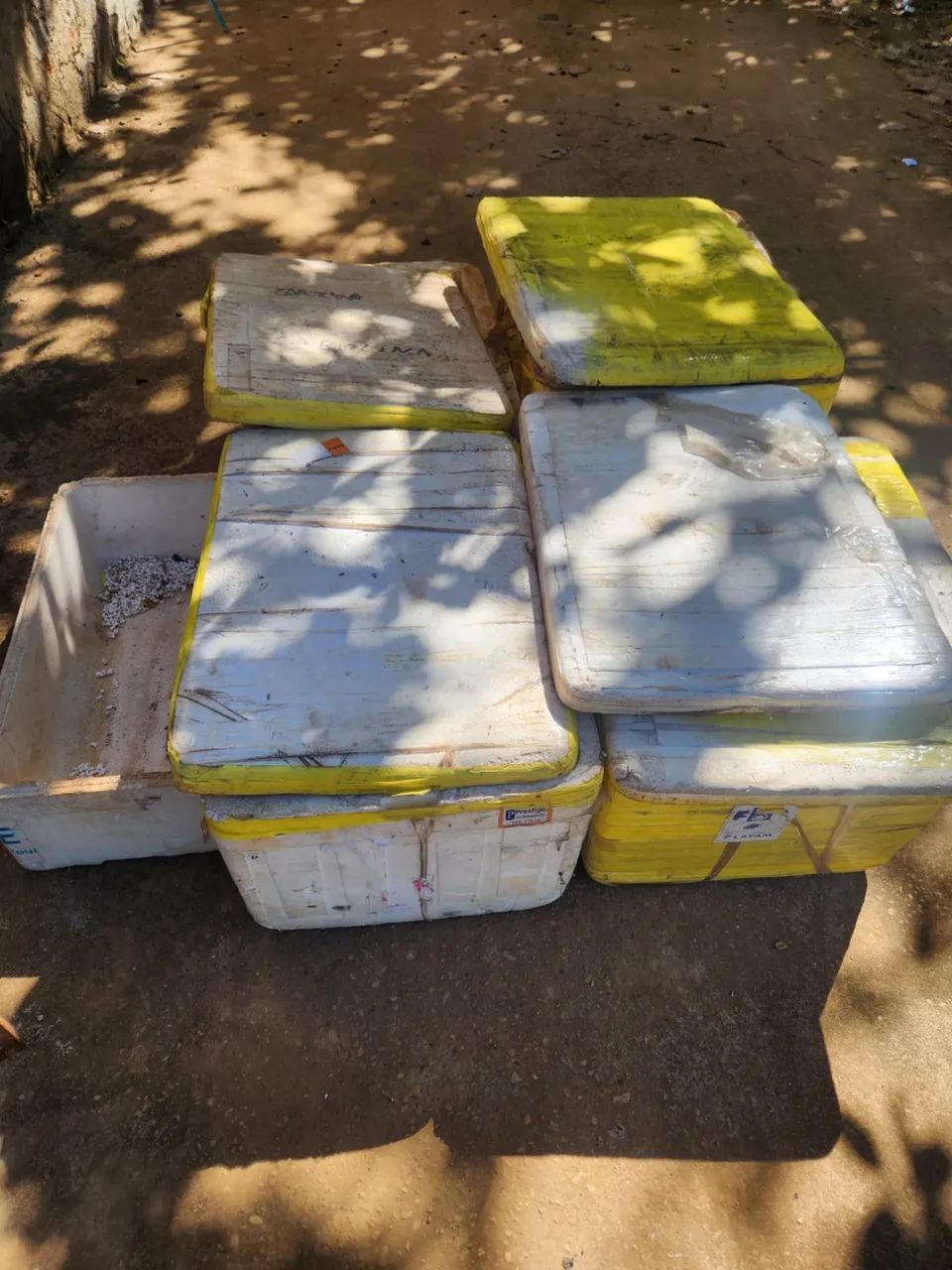 Caixas de isopor