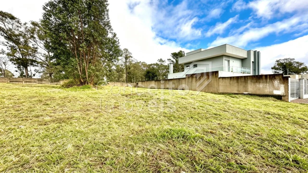Terreno com 312 m² - Jardim Carvalho - Foto 4