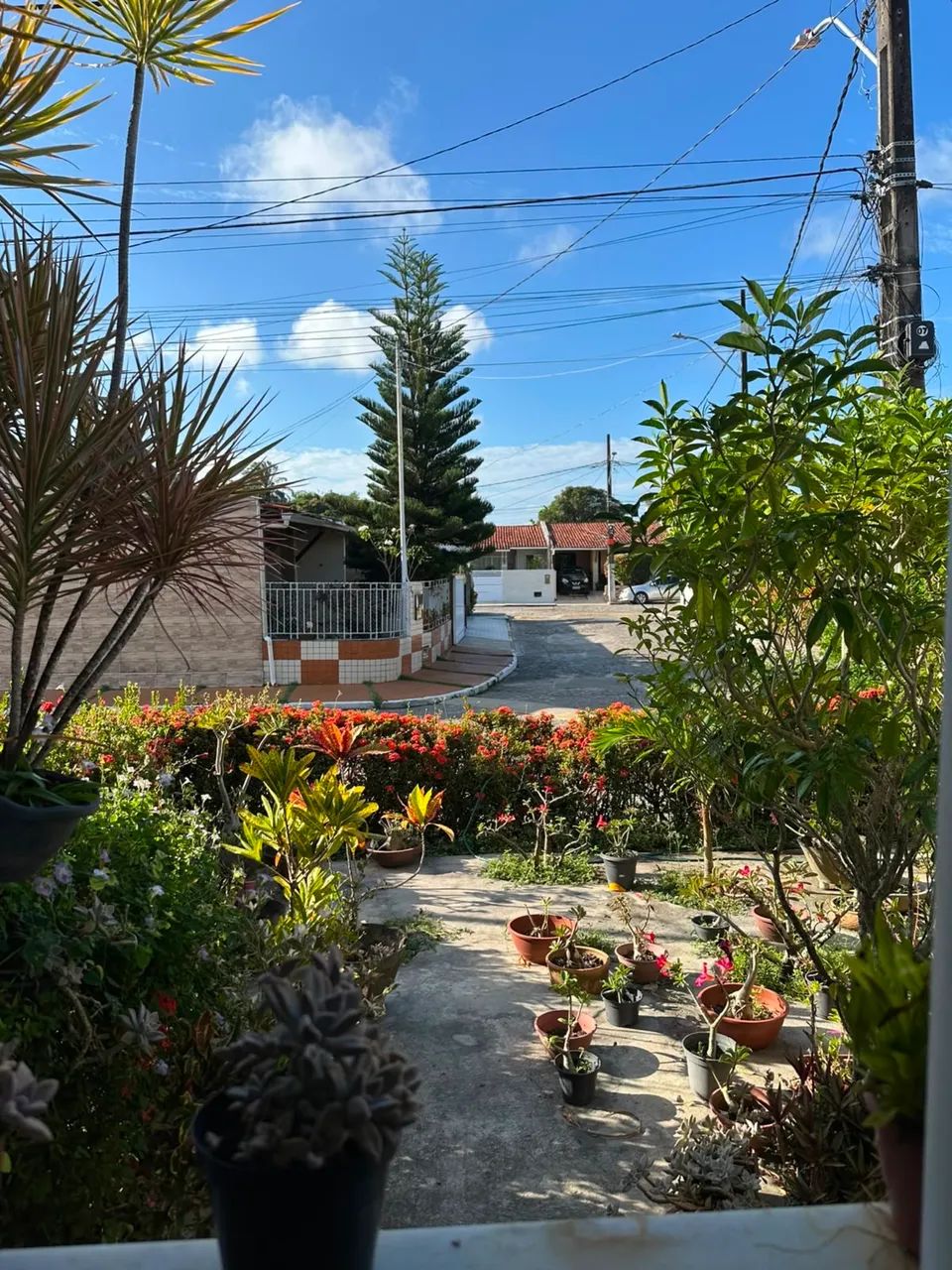 Casa Residencial do Campo  - Foto 2