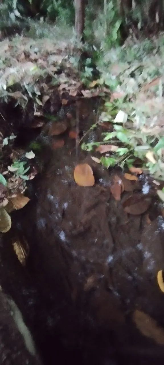 Terreno com igarapé  - Foto 2